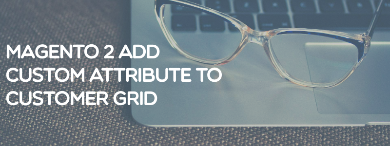 Magento 2 add custom attributes to customer grid